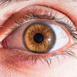 Image for Diabetes and Eye Problems