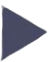 Play icon