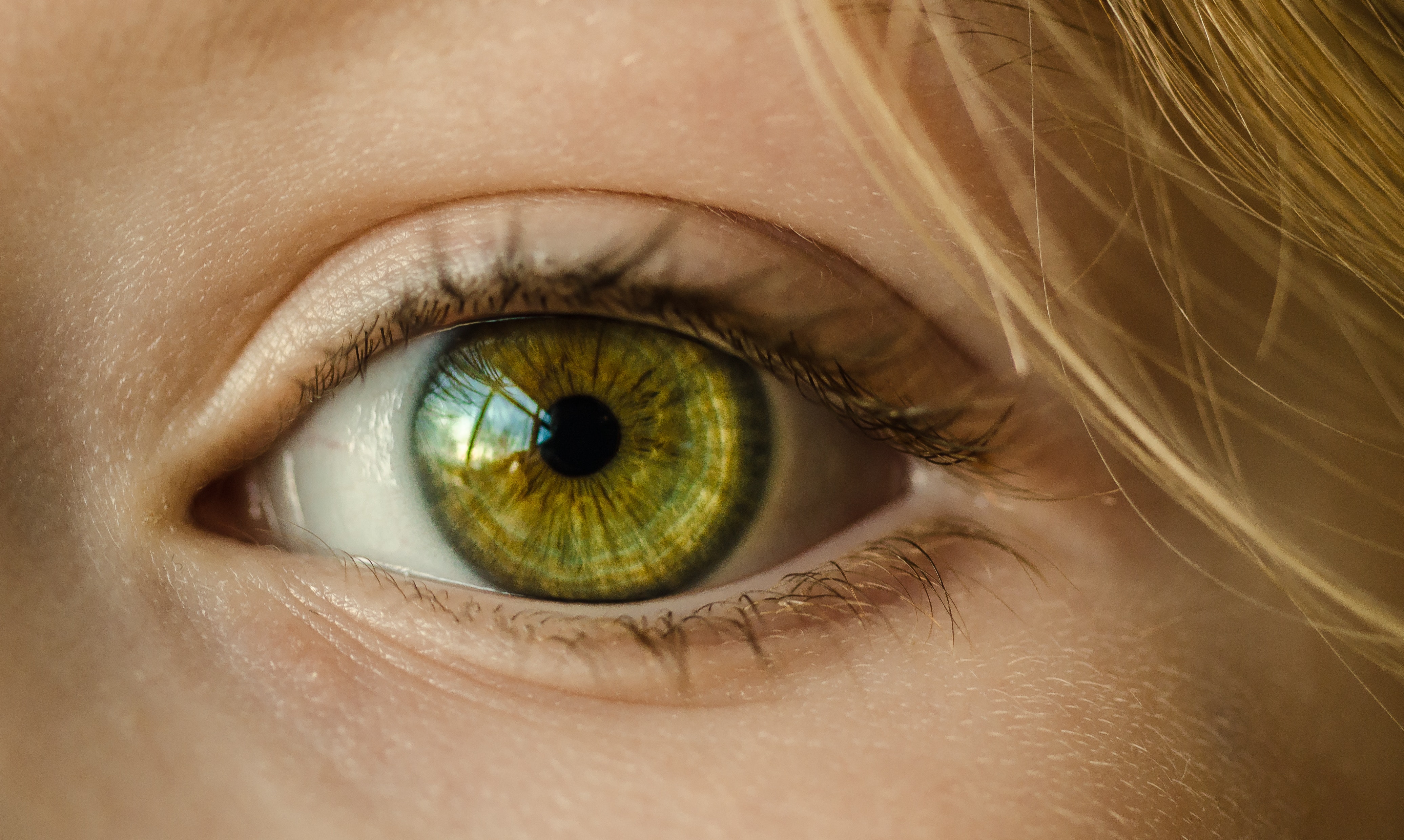 Diabetic eye screening: easy read guide
