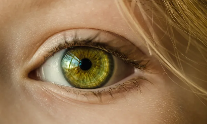 Diabetic eye screening: easy read guide