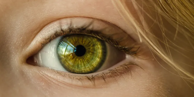 Eyes 1000x500.png