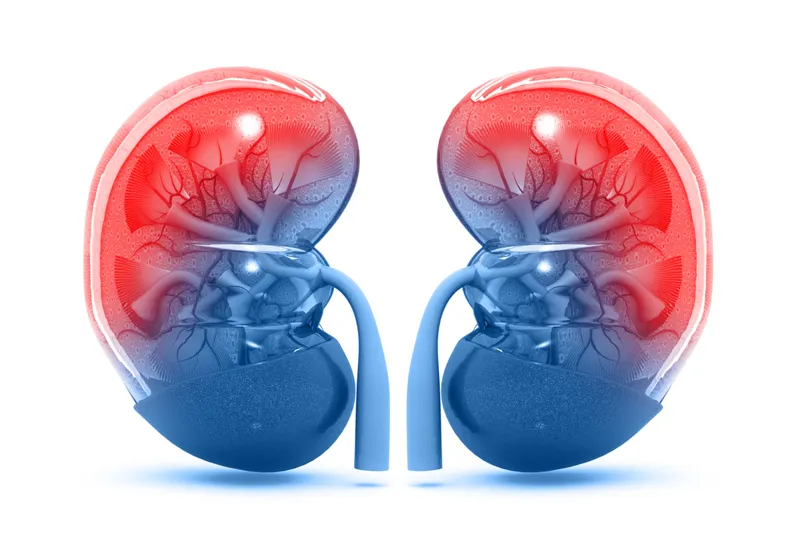 Diabetes and Kidneys