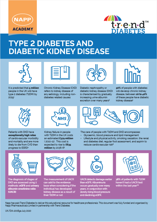 TREND UK HCP DKD Factsheet